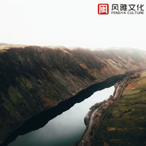 成年人在线视频网站
